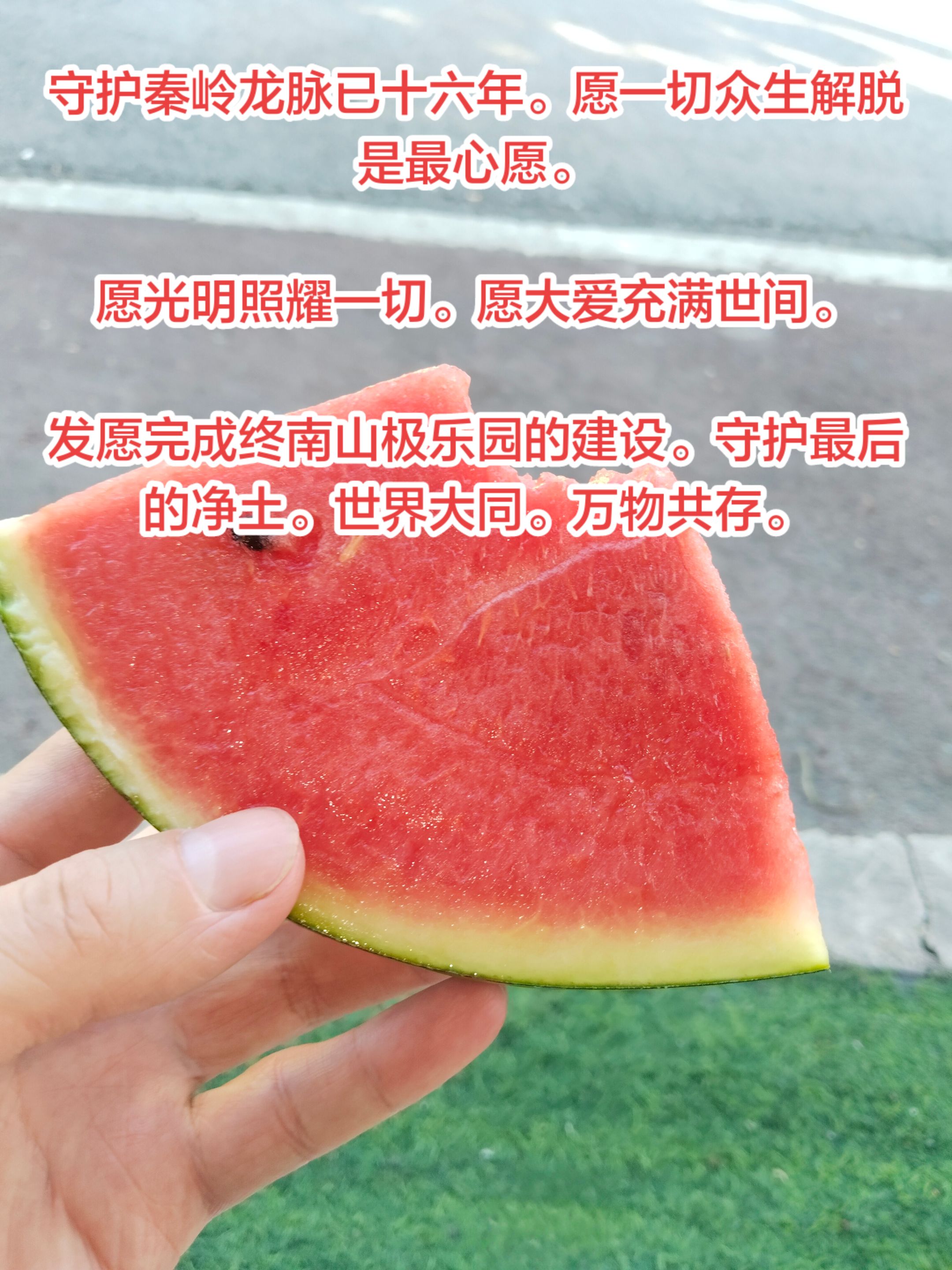synthesis_97912f94-2e5d-4ff8-beb6-6db6591efcdd_image_save_local1787132663873.jpg